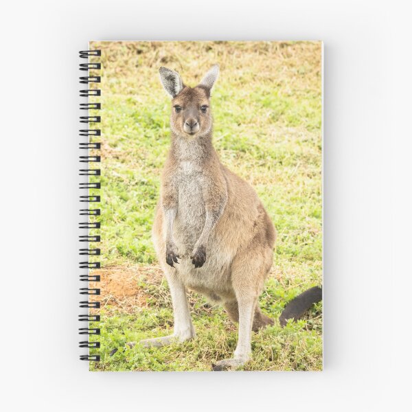 Item preview, Young kangaroo Pemberton, Western Australia designed and sold by Images by Chris de Blank.