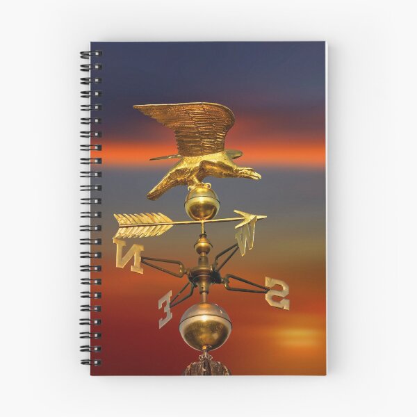 Item preview, Weathervane. 1820 Plymouth County Courthouse, MA. designed and sold by Alex Preiss.