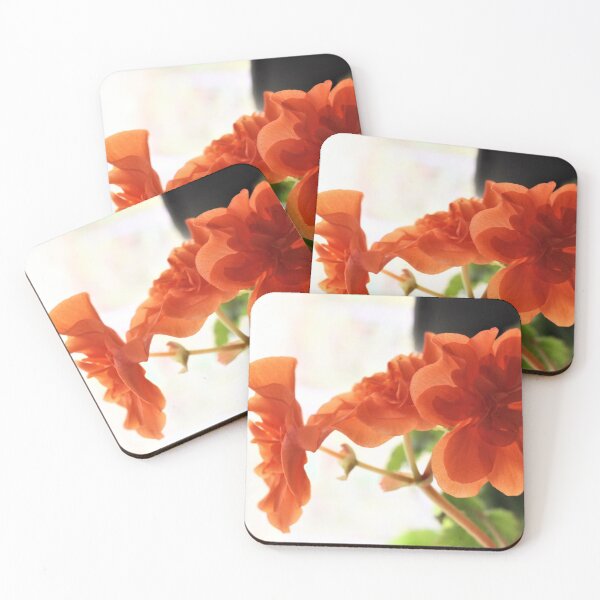 Item preview, Three Begonias designed and sold by Martha Sherman.