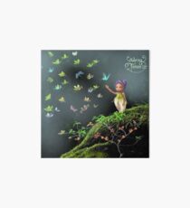 Butterfly Art Board