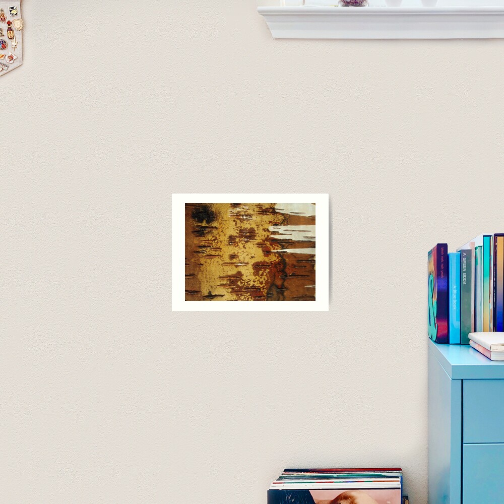 inside out white birch Art Print