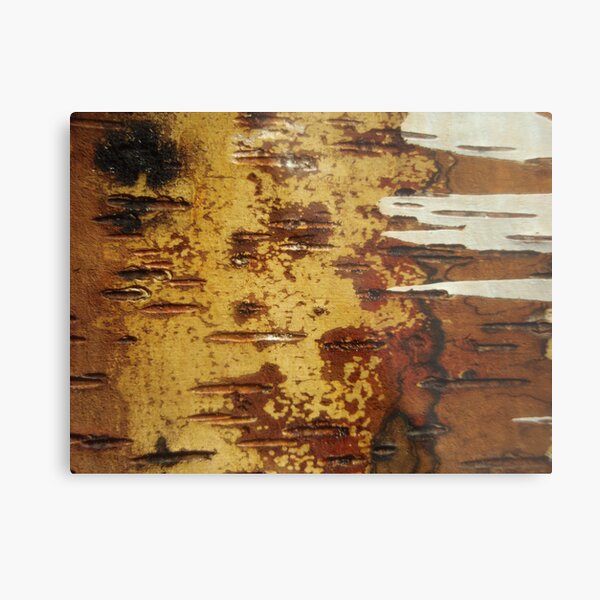 inside out white birch Metal Print
