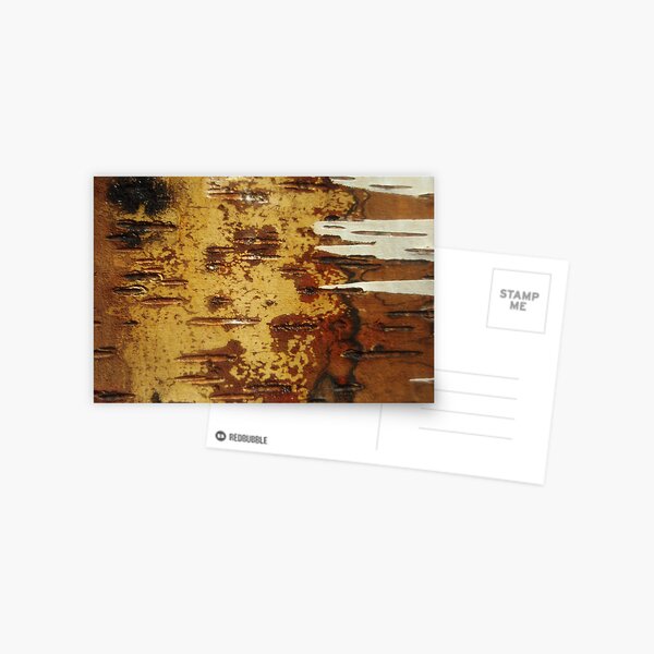 inside out white birch Postcard