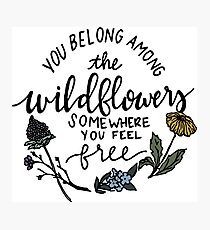 Among the Wildflowers Photographic Print