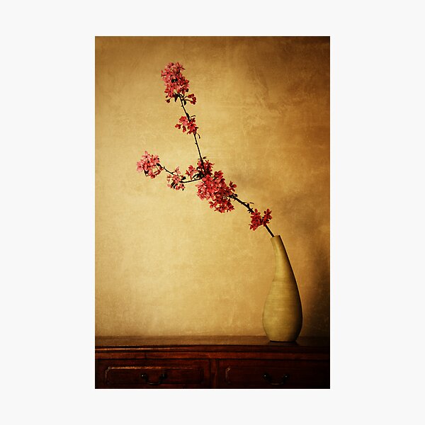 Spirit of Bushido Photographic Print