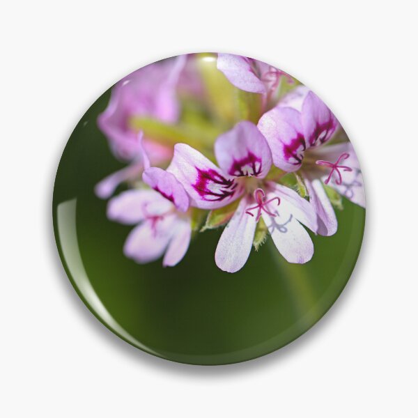 Item preview, Pink Geranium Halo Wonder designed and sold by Joy Watson - Natural Light Photography .