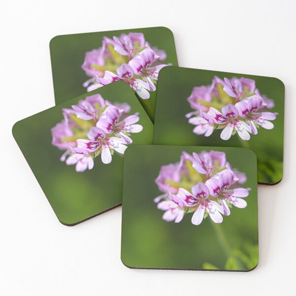 Item preview, Pink Geranium Halo Wonder designed and sold by Joy Watson - Natural Light Photography .