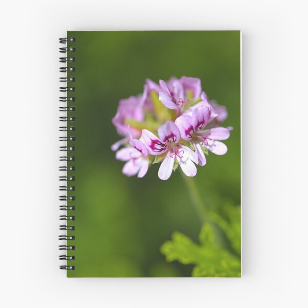 Item preview, Pink Geranium Halo Wonder designed and sold by Joy Watson - Natural Light Photography .