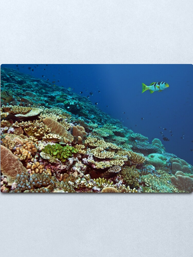 Alternate view of On the prowl Metal Print
