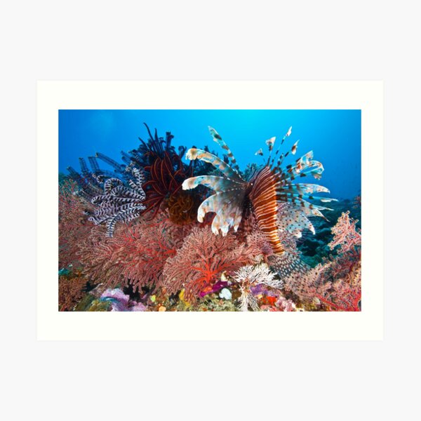 Hunter in the garden Art Print