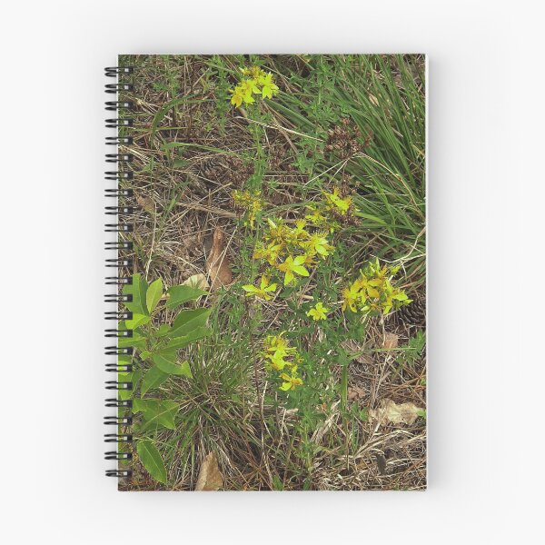 Item preview, Yellow Wild Flower                                             Pentax X-5 16 MP designed and sold by TKUsitalo.