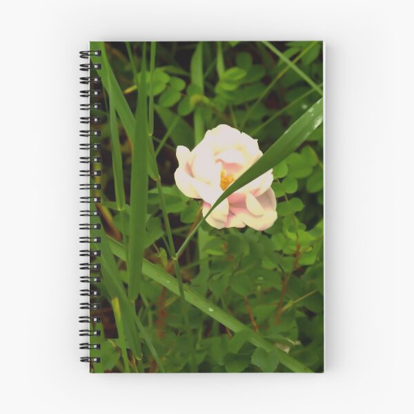 Item preview, A Wild Rose                                                  Pentax X-5 16 MP designed and sold by TKUsitalo.