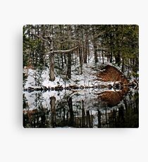 Mirror Mimicry Canvas Print