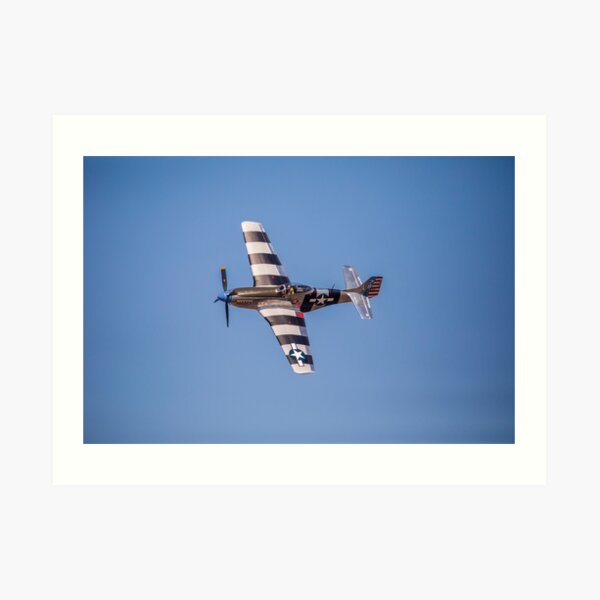 P51 Mustang Fragile but Agile Art Print by Roland McCoy