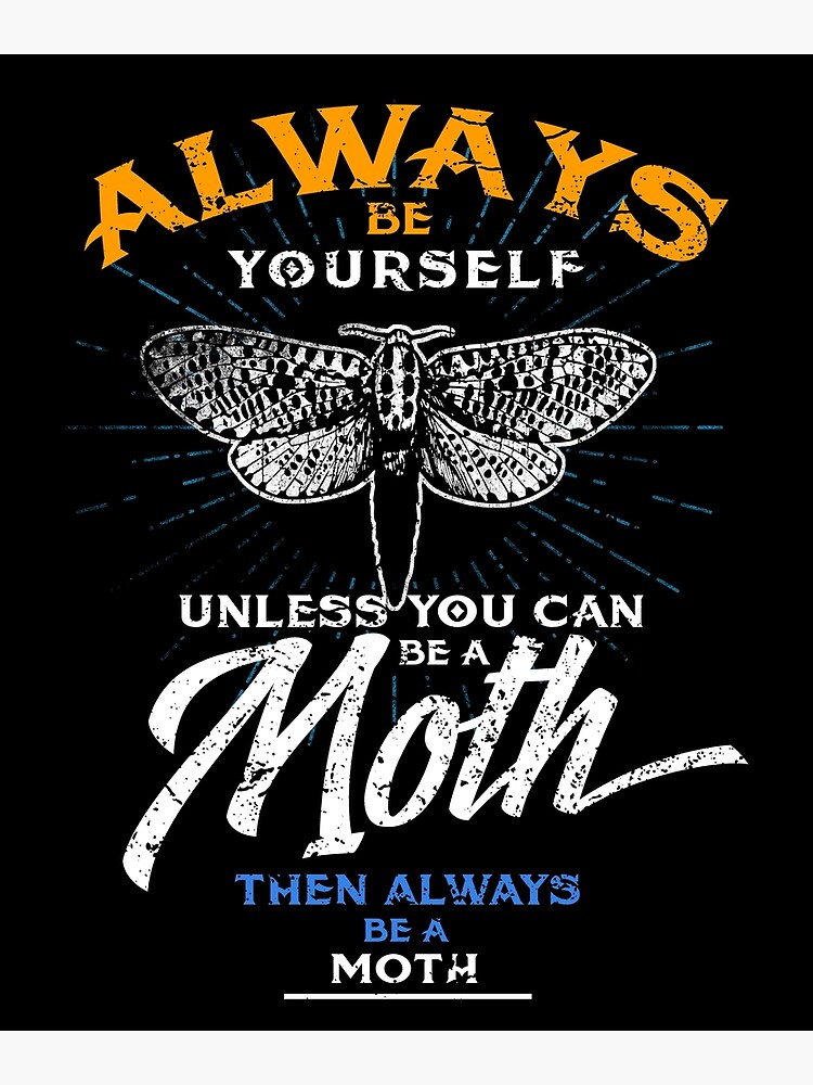 For the Love of Moths