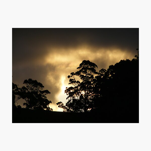 Item preview, "explosion" of light from the dying sun,  Tasmania designed and sold by Gaylene Norton.