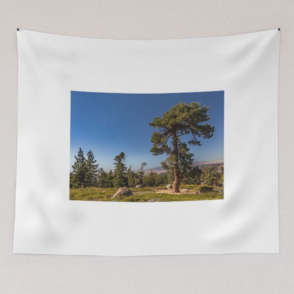Item preview, Lonely Tree designed and sold by Tootalled Photography .