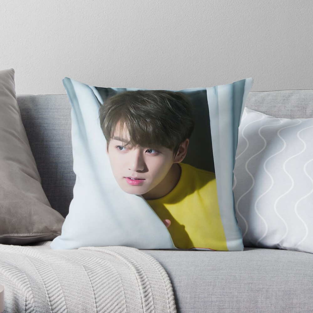 bt21 jungkook pillow