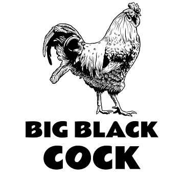"BIG BLACK COCK" Sticker for Sale by warmbubble Redbubble