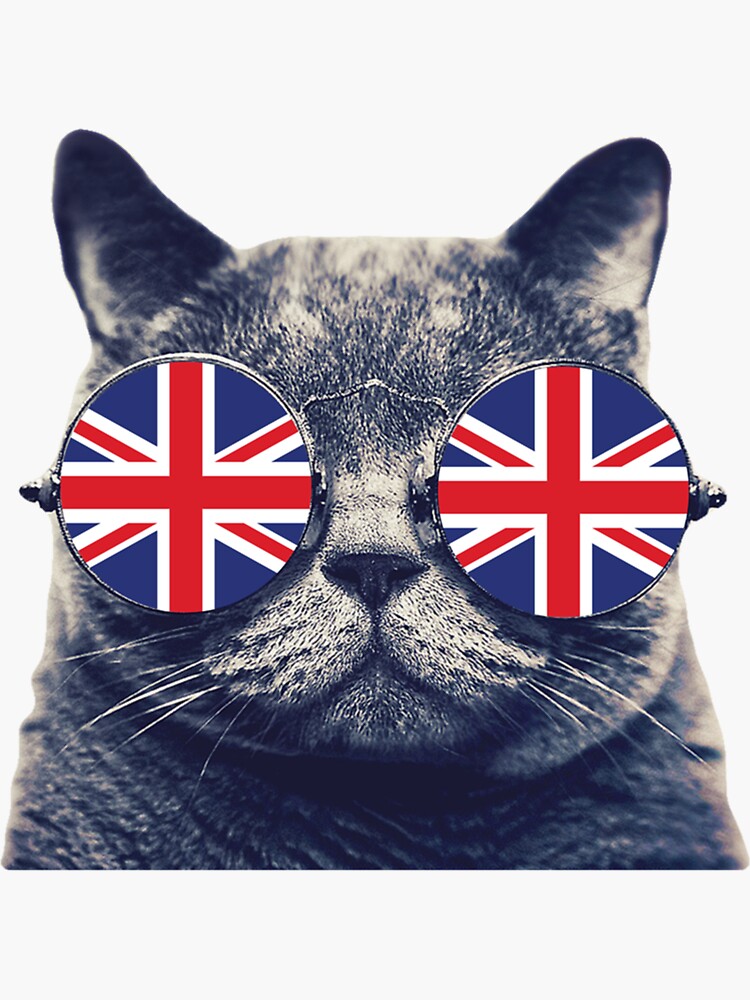 Uk Union Jack Flag T-Shirt English England Cat Lover British