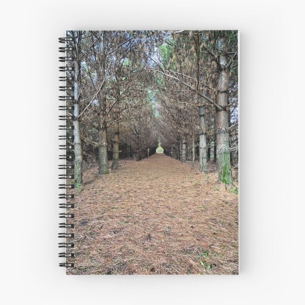 Item preview, Pine Needle Path designed and sold by LynyrdSky.