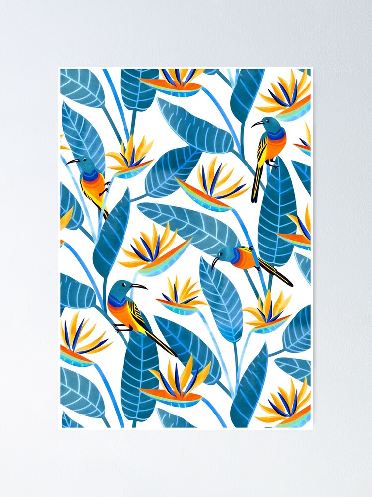 Sunbird And Strelitzia Spotting Poster For Sale By Tigatiga Redbubble