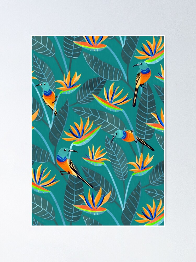 Sunbird And Strelitzia Spotting Teal Green Poster For Sale By Tigatiga Redbubble