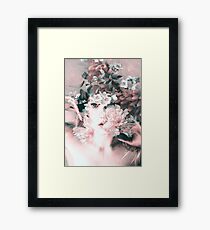 blooming 2 Framed Print