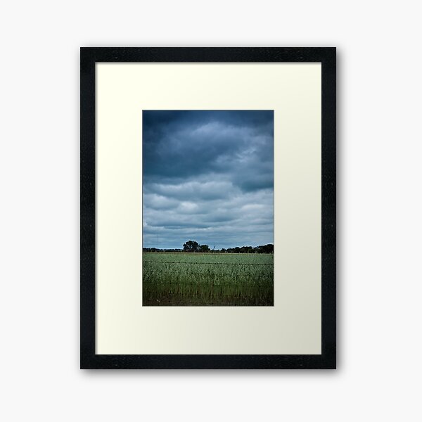 Wheatbelt Framed Art Print