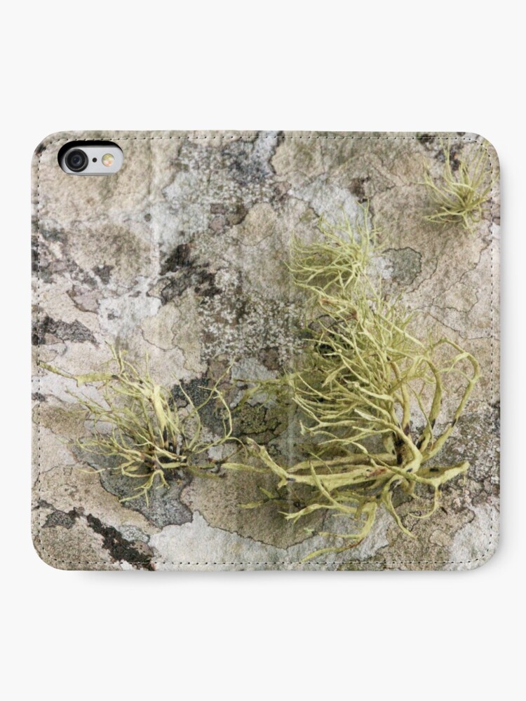 Alternate view of Lichen on tomb in Shalwy Valley, Kilcar, Donegal iPhone Wallet