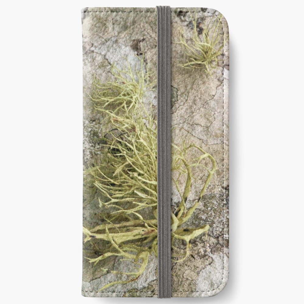 Lichen on tomb in Shalwy Valley, Kilcar, Donegal iPhone Wallet