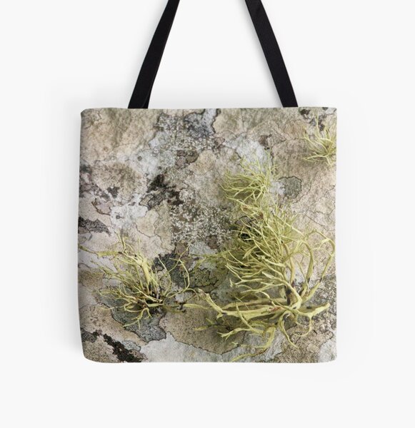 Lichen on tomb in Shalwy Valley, Kilcar, Donegal All Over Print Tote Bag