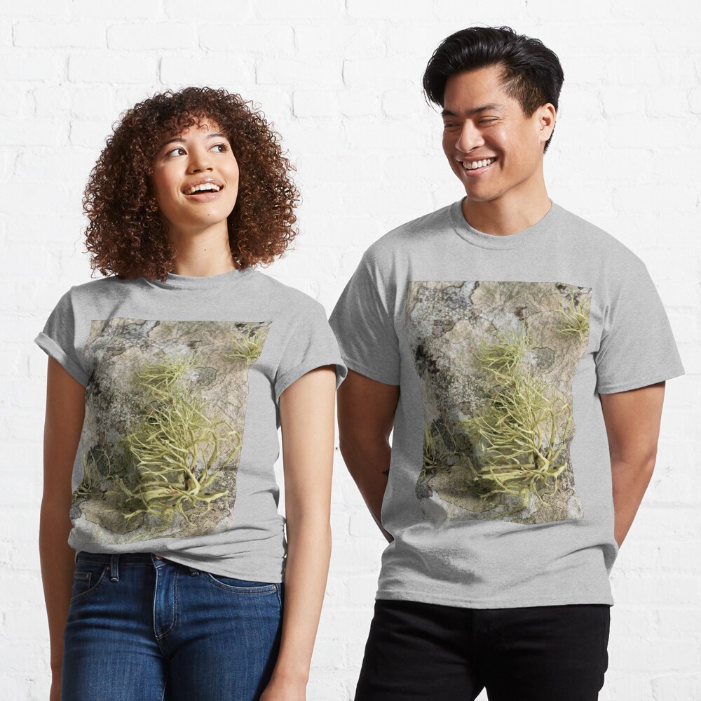 Lichen on tomb in Shalwy Valley, Kilcar, Donegal Classic T-Shirt