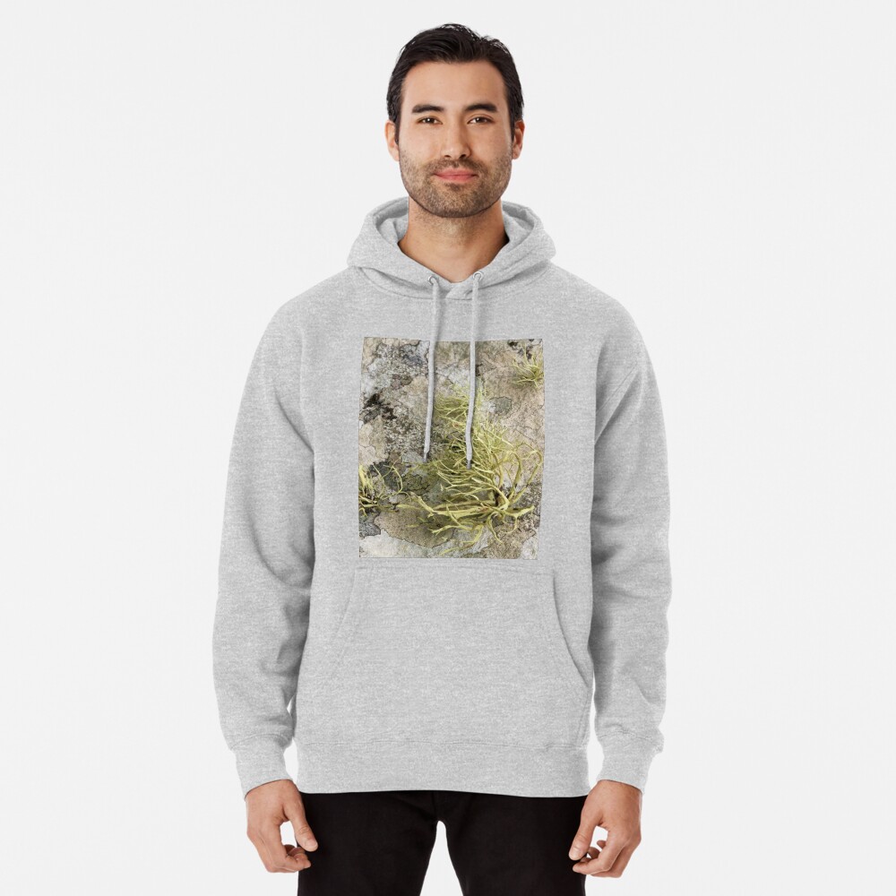 Lichen on tomb in Shalwy Valley, Kilcar, Donegal Pullover Hoodie