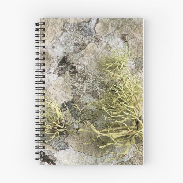 Item preview, Lichen on tomb in Shalwy Valley, Kilcar, Donegal designed and sold by George Row.