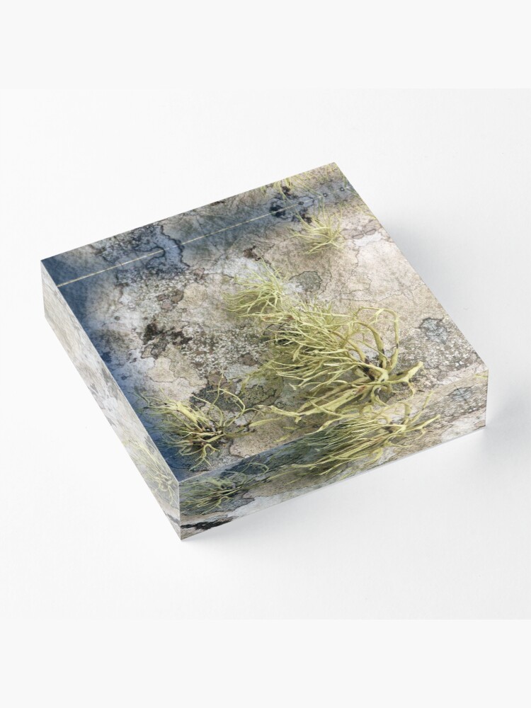 Alternate view of Lichen on tomb in Shalwy Valley, Kilcar, Donegal Acrylic Block