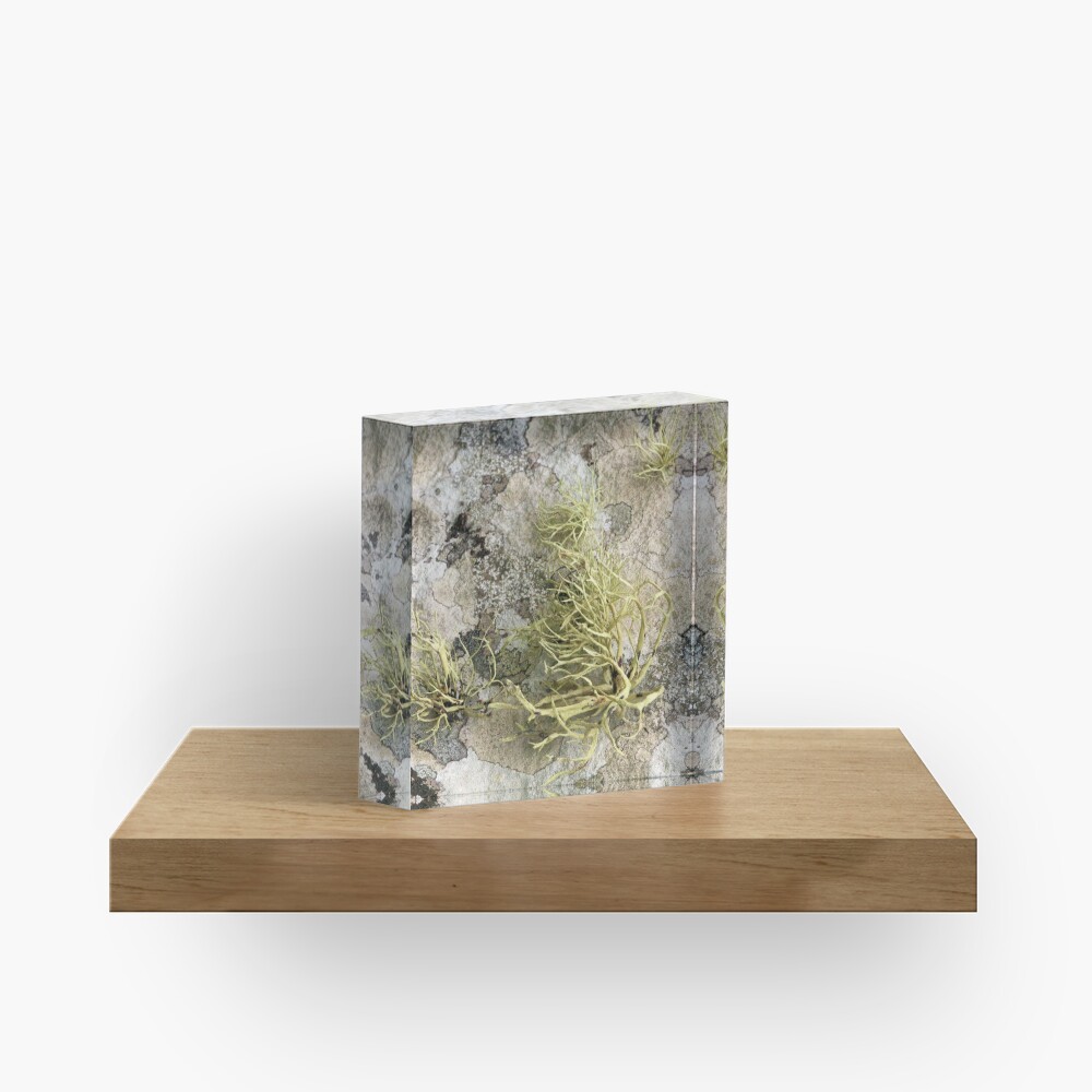Lichen on tomb in Shalwy Valley, Kilcar, Donegal Acrylic Block