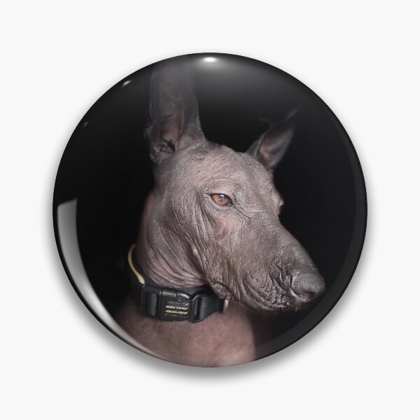 Item preview, I do what I want designed and sold by Xolo-Rescue.