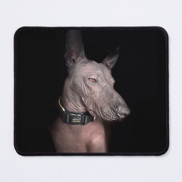 Item preview, I do what I want designed and sold by Xolo-Rescue.