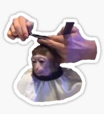 Monkey Haircut Sticker