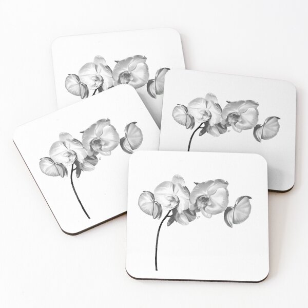 Item preview, White orchid no background  designed and sold by Ekaterina Strounina.