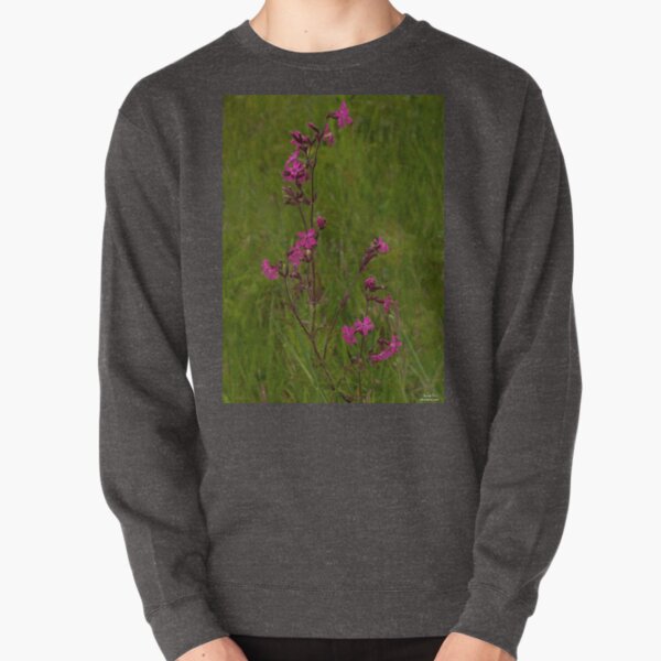 Red Campion in Burntollet Woods Pullover Sweatshirt