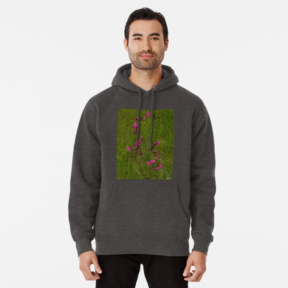 Red Campion in Burntollet Woods Pullover Hoodie