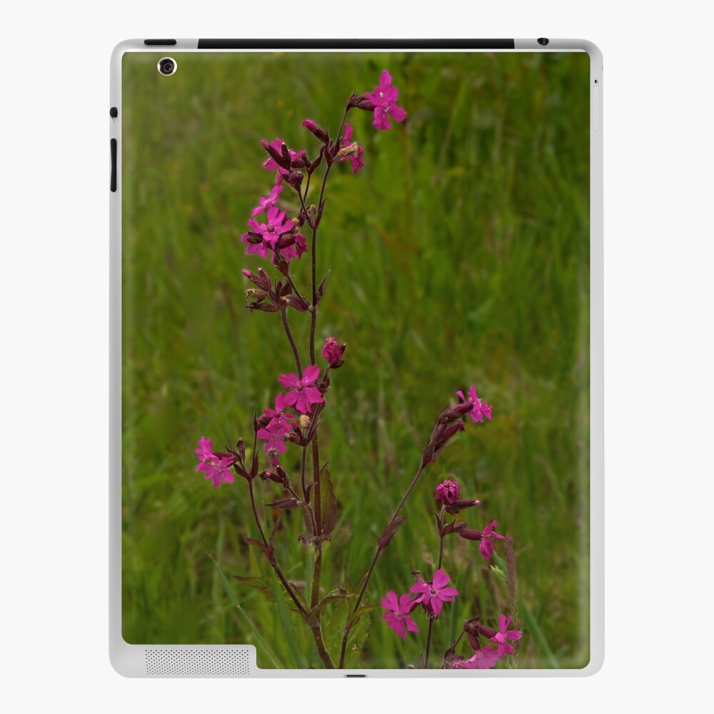 Red Campion in Burntollet Woods iPad Case & Skin