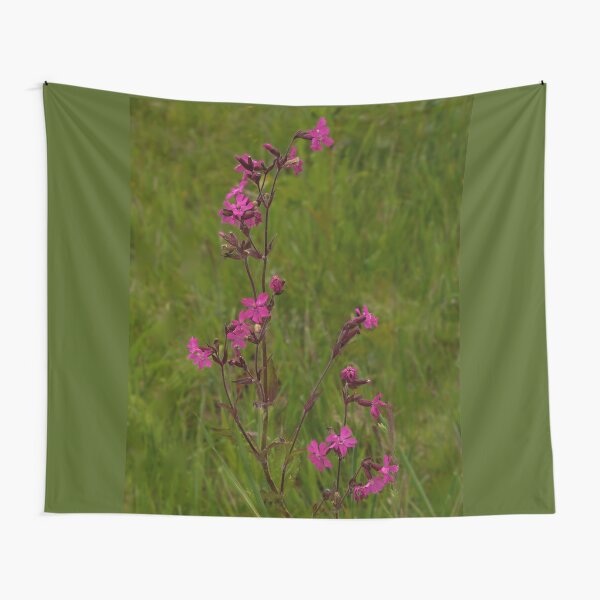 Red Campion in Burntollet Woods Tapestry