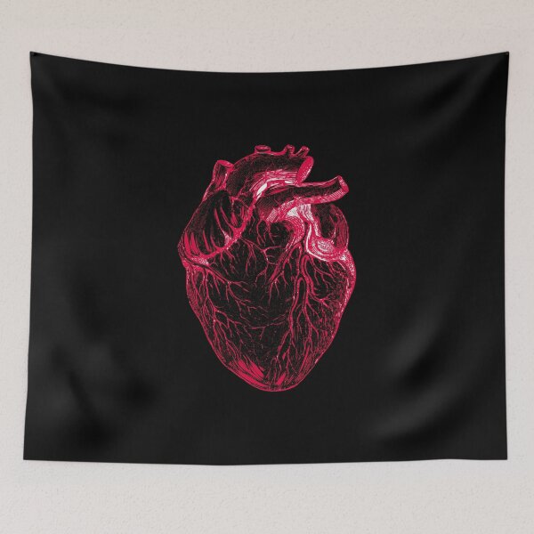 Item preview, Heart Anatomy designed and sold by PineLemon.