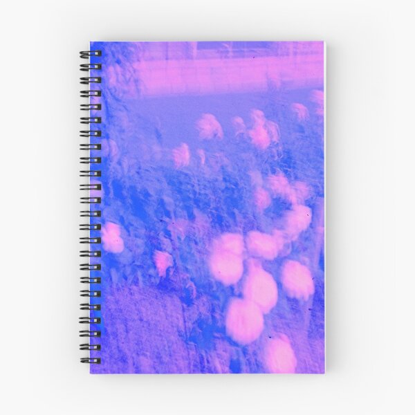 Item preview, Warwick flowers 35mm film photography designed and sold by Dominique Tassell.