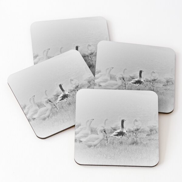 Item preview, geese designed and sold by DMEIERS.