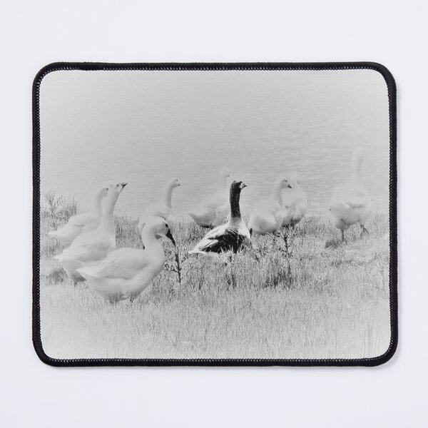 Item preview, geese designed and sold by DMEIERS.