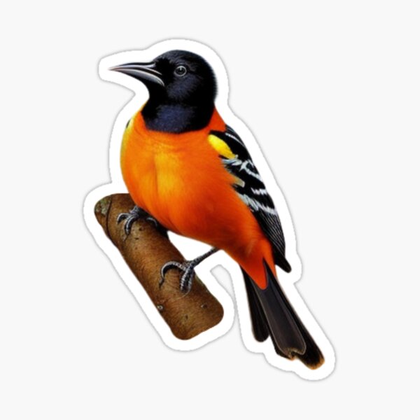 Cute Oriole Bird Illustration T-Shirt